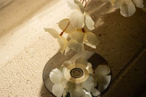 Foto bloem