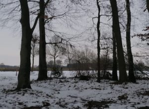 Foto sneeuw